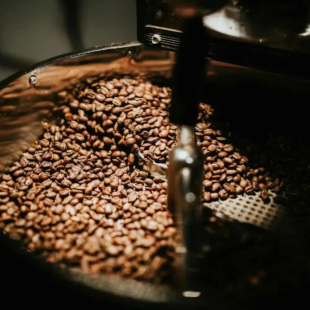 Freshly roasted coffee beans turning in a roaster’s cooling tray